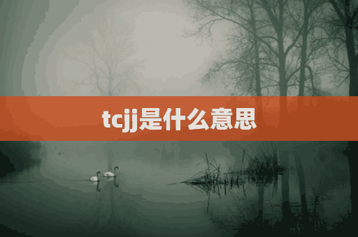 tcjj是什么意思(tcj0)